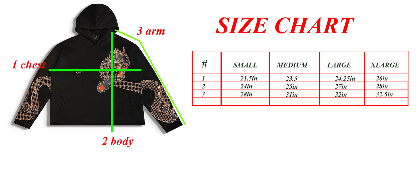 DRAGON EMBROIDERED HOODIE